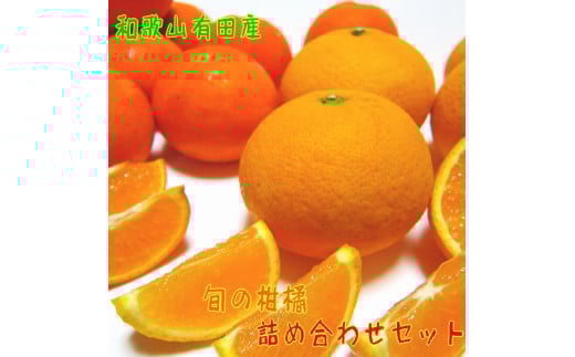 【先行予約】旬の柑橘詰め合わせセット（ご家庭用）約5kg ｜ フルーツ ふるーつ 果物 くだもの 詰め合わせ オレンジ みかん レモン 国産 産地直送 美浜町 ※2026年1月中旬～4月下旬頃に順次発送予定 ※北海道・沖縄・離島への配送不可