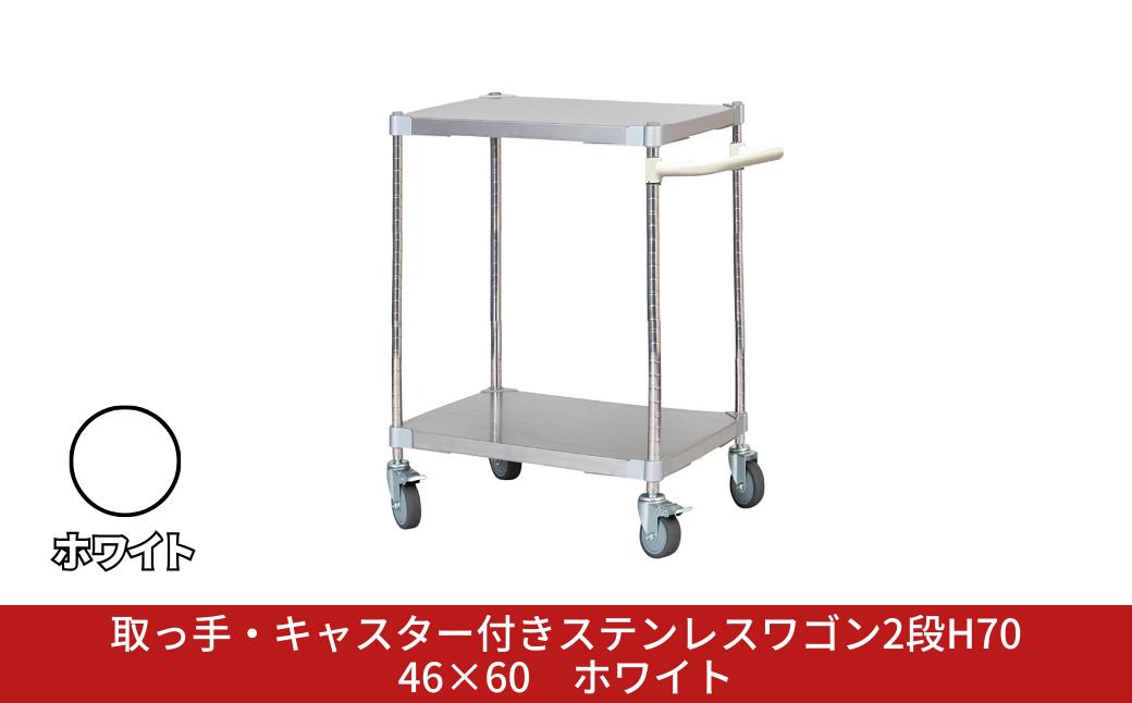 
            取っ手・キャスター付きステンレスワゴン2段H70 46×60 ホワイト PROFACE プロフェイス 冷蔵 冷凍 クリーン 組立式 燕三条製 【257S007】
          