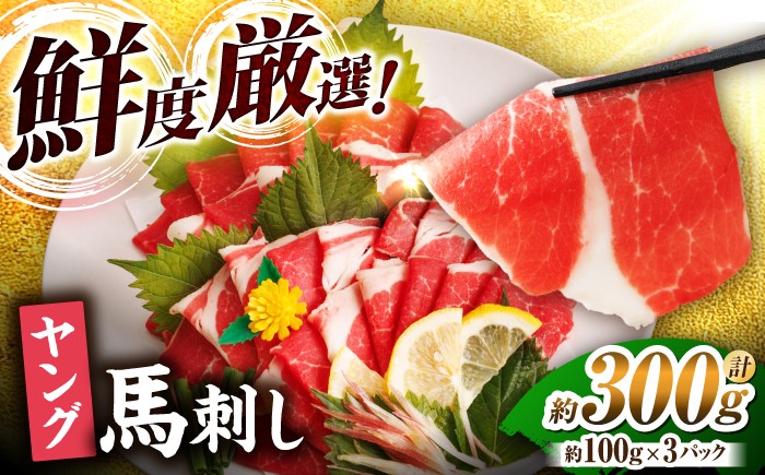 
                  ヤング 馬刺し 計300g（3pc）【馬刺しの郷 民守】 馬刺し 赤身 熊本 山鹿 馬肉 お肉 刺身 冷凍 真空パック 小分け 国産 薄切り 送料無料 九州 [ZBL012]
                
