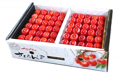 【令和6年産先行予約】 厳選品！手詰め さくらんぼ 約1kg (