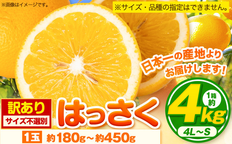 
            八朔 寄附額見直しました！ 訳あり はっさく 八朔 約4kg (4L~Sサイズ)  サイズ不選別 早生･晩生指定不可《2月上旬-3月中旬に出荷予定(土日祝除く)》
          