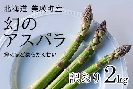 【令和8年産先行予約】【訳あり】幻のアスパラ 本山農場のラスノーブル（グリーンアスパラ）2kg アスパラガス | アスパラ アスパラ アスパラ アスパラ アスパラ アスパラ[019-65]
