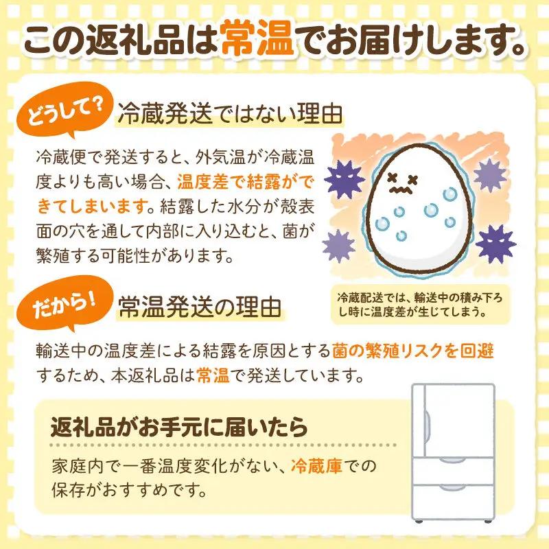 【常温発送】《定期便4ヶ月》黄身の余韻 40個（業務用）【発送時期が選べる】東海林養鶏場 黄身の余韻 卵 玉子 たまご タマゴ 4か月 4ヵ月 4カ月 4ケ月 開始時期選べる