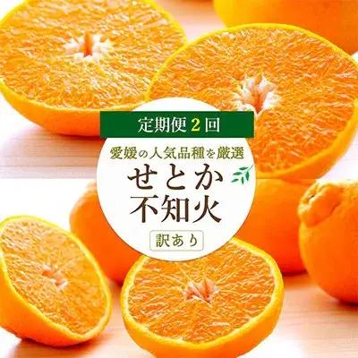 【発送月固定定期便】愛媛の人気2品種を堪能!せとか・不知火食べ比べ【訳あり】【D25-202】全2回【4066443】 YWTAP143