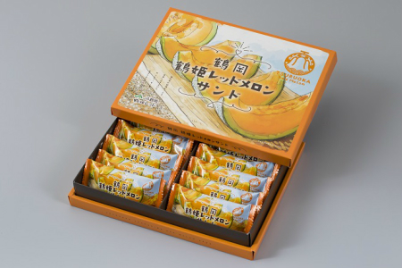 A01-568　【つるおか名物コンテスト菓子部門：最高金賞】鶴岡鶴姫レッドメロンサンド　12個入×2箱