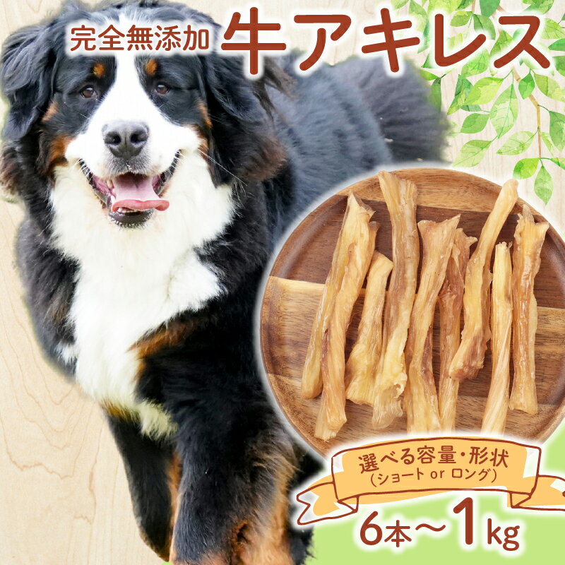 【ふるさと納税】 ドッグフード 牛アキレス ショート ロング 選べる容量 6本～1kg 【 牛 ドックフード アキレス ショート ロング ペット おやつ ペット用品 犬用 無添加 無着色 国内製造 安心 安全 自然食品 ケーティーコモディティ KT 新潟県 新発田市 KT063P 】