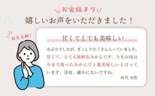【12月上旬より配送開始☆優品】石地みかん 約8kg（傷み保証分300g含む）＜川添みかん園＞ [CCT006] みかん