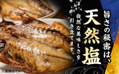 漁師町佐島 真アジの開き 約2.8kgセット 干物 アジ 鯵 開き 魚 横須賀 冷凍干物 厳選干物 人気干物 干物セット【石川水産】 [AKCX001]