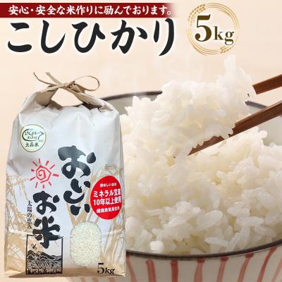 ふるさと納税 徳島市 先行予約【令和8年産 新米】こしひかり 5kg(農薬・化学肥料不使用)【BU004】