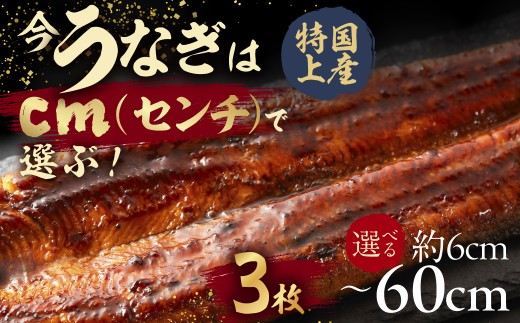 【うなぎ蒲焼　18cm（6cm×3枚）】今、うなぎはセンチで選ぶ！ 長さ選べる 国産 うなぎ蒲焼 カット鰻 うなぎ ウナギ unagi カット済 うな重 冷凍 うな丼 ストック 蒲焼 タレ付 選べる 簡単 簡単調理 訳あり 規格外 人気 三河  愛知県 豊橋市