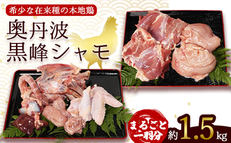 軍鶏 1羽分 地鶏 黒峰シャモ［BSCA005］