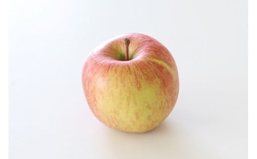 【訳あり品】色付き不良