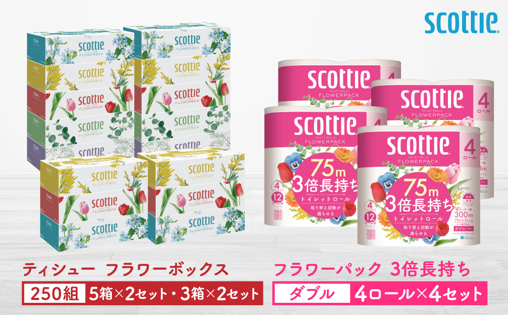 【スコッティ】ティシュー フラワーボックス 250組（5箱パック×2セット・3箱パック×2セット）＋フラワーパック 3倍長持ち（4ロール(ダブル)パックx4セット）ティッシュ トイレットペーパー 日用