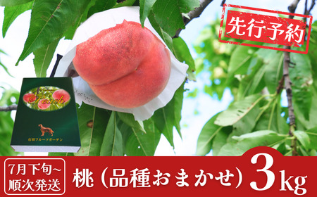 先行予約 桃 約3kg (桃9～11個入) [2025年発送分 桃] 令和7年産 桃 新潟フルーツ 新潟県産桃 [石田フルーツガーデン] 【015P058】