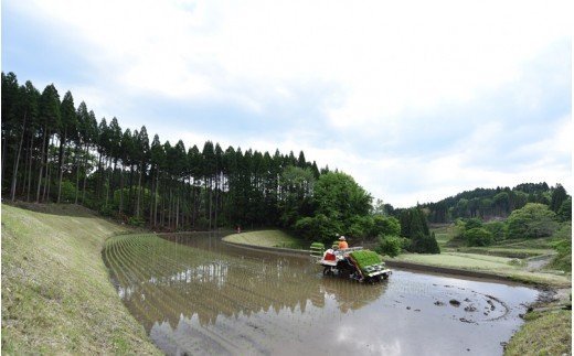 【予約受付】令和8年産・新米 瑠璃米 4kg 予約 新米 令和8年産 南小国産 米 白米 精米 2kg 2袋 お米 ご飯 産地直送 髙村農園 熊本 阿蘇 南小国町 送料無料