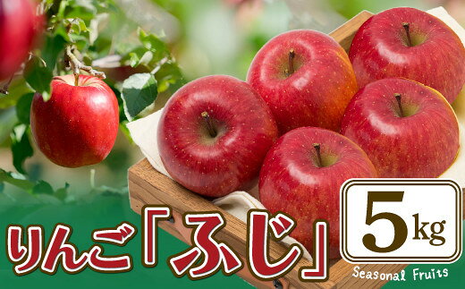 【ふるさと納税】【先行予約】【数量限定・期間限定】陽気な母さんのりんご「ふじ」 5kg 【75P3408】 リンゴ 林檎 詰合せ セット 季節 数量限定 大館市 秋田県 陽気な母さんの店 送料無料 ギフト フルーツ 果物 ふじ【陽気な母さんの店(株)】