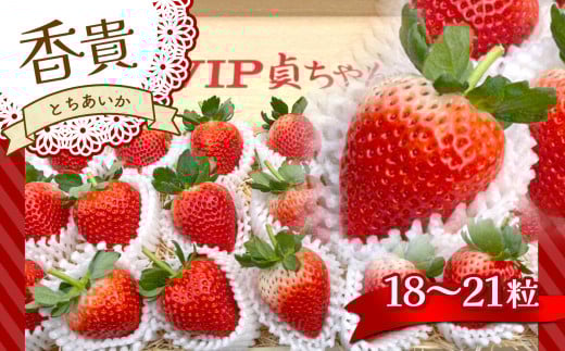 【先行予約】とちあいか 「香貴」 18～21粒