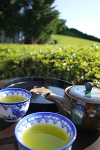 098-9 牧之原産深蒸し煎茶「赤富士」3本セット