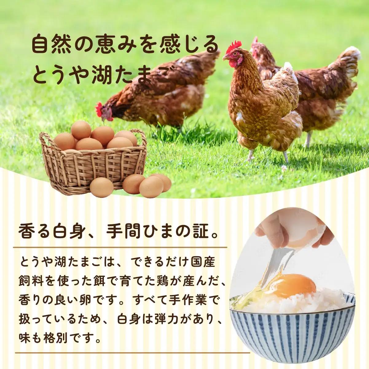 [5525-0916]【6ヵ月 定期便】 北海道 伊達市 とうや湖 卵  20個 入り たまご
