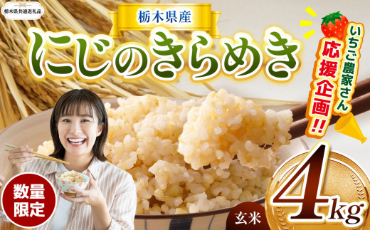 訳あり【令和7年度産】【栃木県共通返礼品】【数量限定】 栃木県産にじのきらめき 4kg | にじのきらめき 数量限定  玄米 米 ごはん  玄米密閉パック ふるさと納税 那珂川町 栃木県