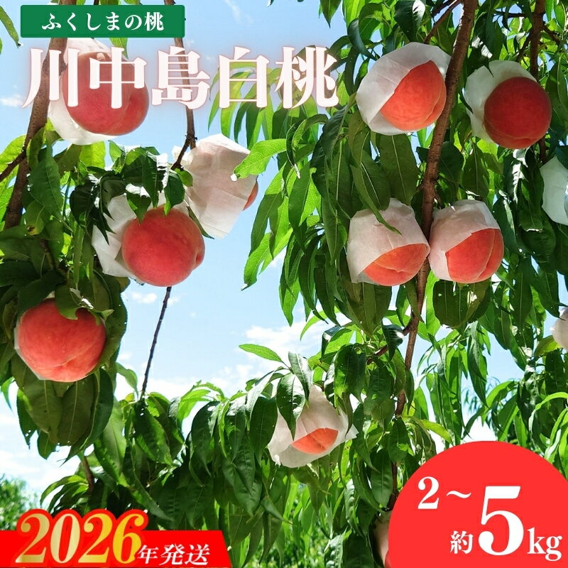 【ふるさと納税】福島のもも「川中島白桃」約2kg 約3kg 約5kg【2026年発送 先行予約】