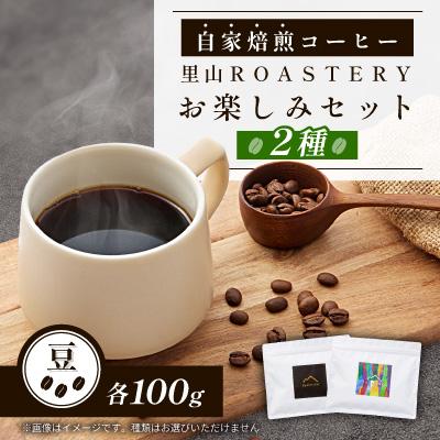 ふるさと納税 富田林市 【豆:2種計200g】自家焙煎コーヒー豆(100g×2)　里山ROASTERYお楽しみセット