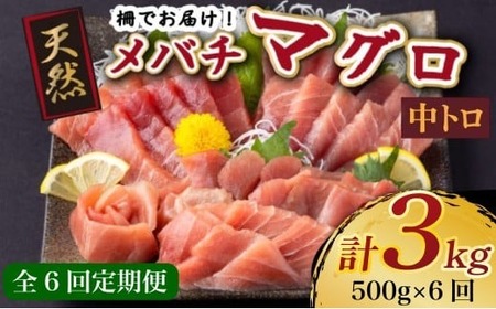 【定期便6回】天然メバチマグロ 中トロ500g【6回定期便マグロマグロマグロ】