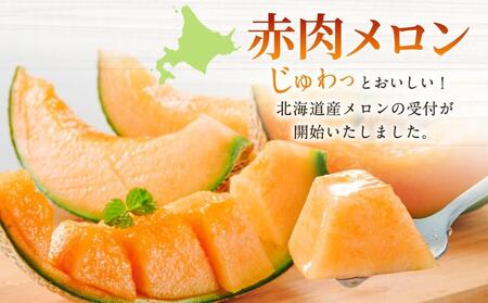 【先行予約】北海道 赤肉メロン LL玉×2個 (2026年7月発送開始) 