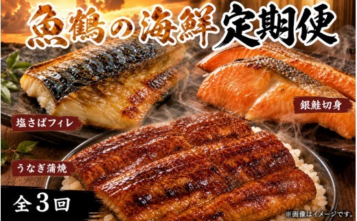 
                  【3回定期便】【毎月お届け】魚鶴厳選！人気のお魚集合定期便（さば・銀鮭・うなぎ）【tkb307】
                