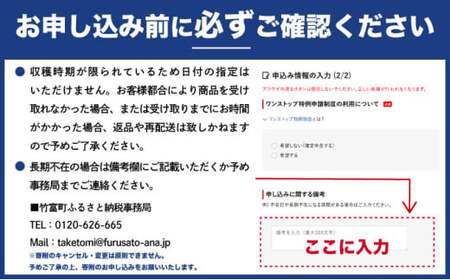 2026年 先行予約 西表島の完熟ピーチパイン 9kg (8〜12玉)【嘉本商店 完熟 果物 フルーツ】お届け：5月中旬～6月中旬頃