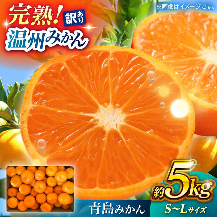 【ふるさと納税】【訳あり】 温州みかん 『青島』 約5kg S〜Lサイズ 【奥村果実園】[ZFK001]