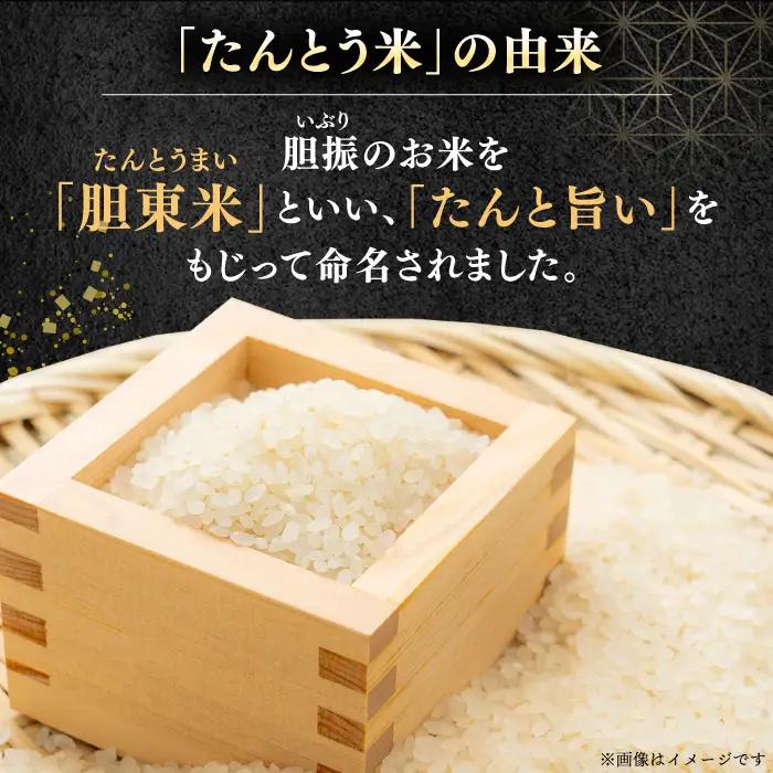 令和7年産 令和8年産 【全2回定期便】ななつぼし [たんとう米] 10kg 米 定期便 2カ月 連続 毎月 お米 白米 ご飯 ななつぼし ブランド米 北海道 [AXAB068]