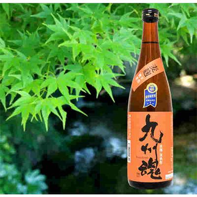 ふるさと納税 長崎市 【発送月固定定期便】麦長崎焼酎飲み比べセット/九州魂 軍艦島 720ml 2本箱入 全12回 |  | 01