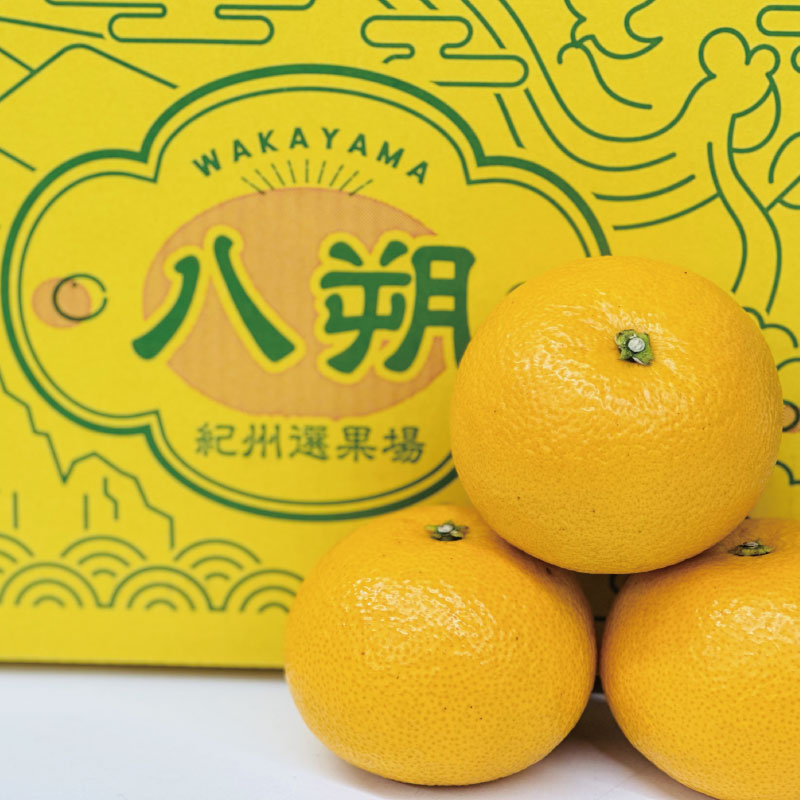 赤秀 木成りはっさく10kg ※2026年3月初旬頃～順次発送予定(お届け日指定不可) / 八朔 ハッサク 由良町 柑橘 期間限定 和歌山