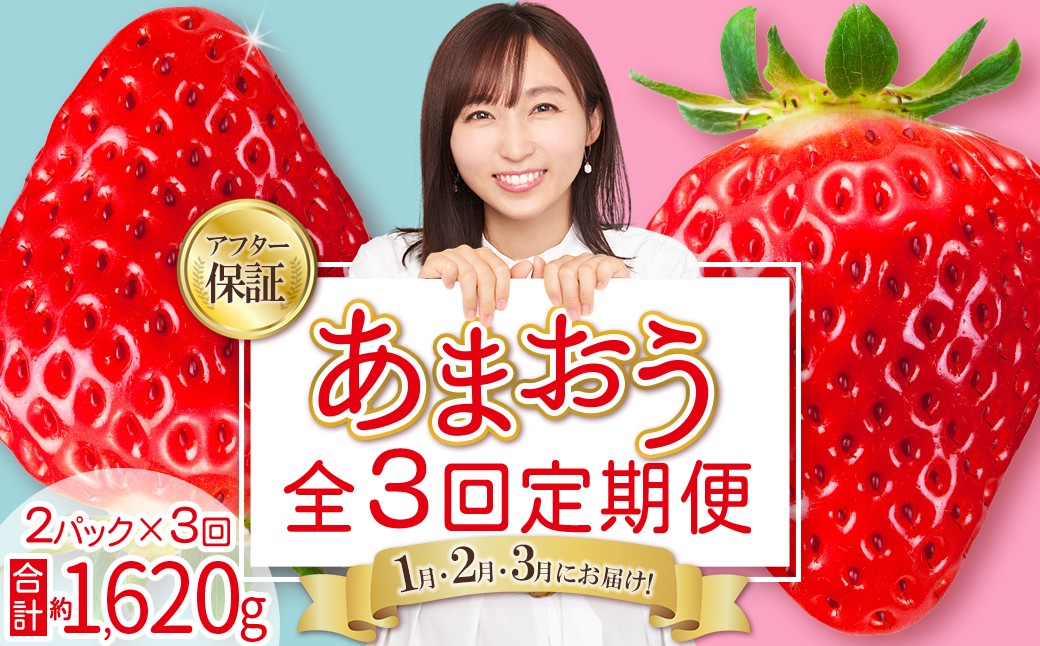 
            【 あまおう 定期便 全3回】福岡県産あまおう 約270g 前後 ×２パック いちご イチゴ あまおう 福岡限定 ブランド 果物 フルーツ ストロべリー スイーツ ケーキ パフェ スムージー ジャム 国産 福岡県 お取り寄せ 送料無料 3W27
          