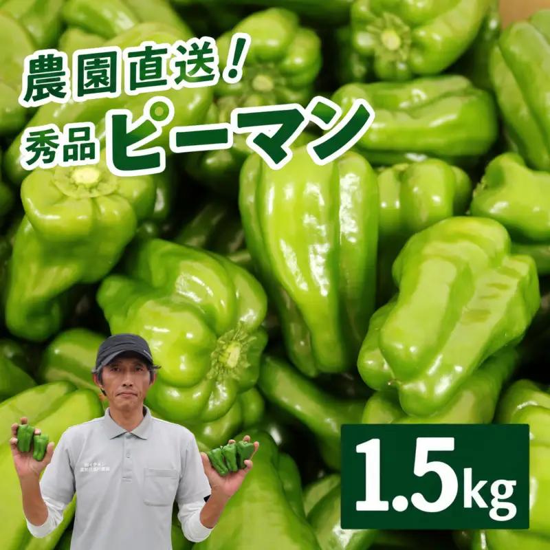 ピーマン 1.5kg 秀品 野菜 ぴーまん