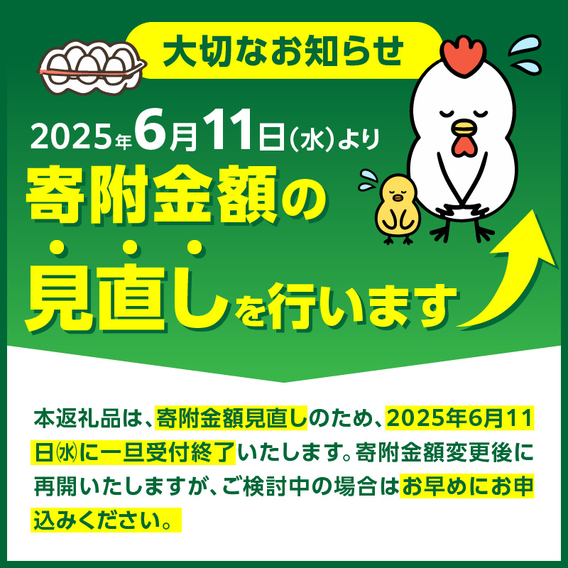 かぐやひめ「初たまご」100個 【福岡上毛町産】　C00901