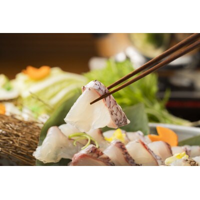 国産鰻(うなぎ)と山崎真鯛を使った贅沢しゃぶしゃぶ食べ比べ【鯛多め】〆の蓮根麺付　2～3人前《冷凍》【配送不可地域：離島】
