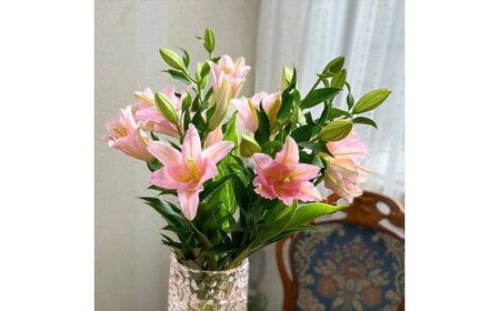 ピンクユリの花束【 神奈川県 小田原市 】