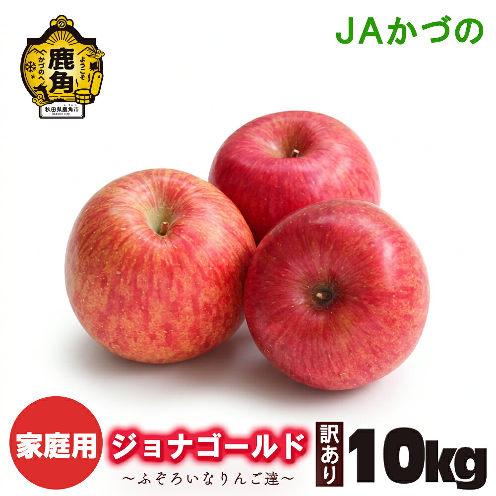 【ふるさと納税】《 先行予約 》JA りんご 訳あり 鹿角産 りんご ジョナゴールド 10kg 家庭用 規格外 お徳用 林檎 リンゴ 完熟 旬 県産りんご お中元 お歳暮 贈り物 お見舞い ギフト 秋田県 秋田 あきた 鹿角市 鹿角 送料無料 かづの農業協同組合【JAかづの】