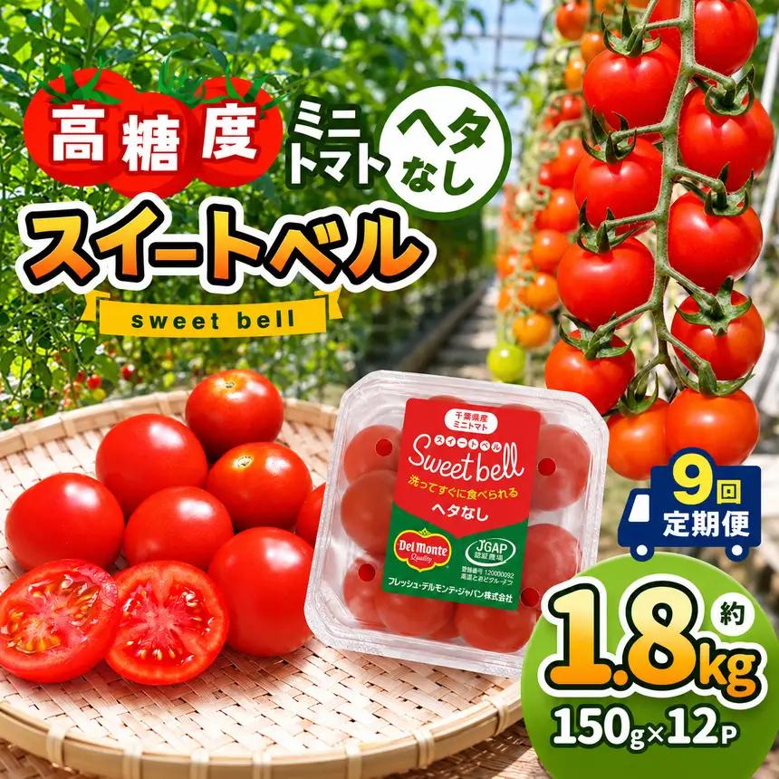 【定期便9回】高糖度 ミニトマト スイートベル （ ヘタなし ） 150g × 12P | 野菜 トマト ミニトマト プチトマト トマト 高糖度 トマト とまと 小分け 君津とまとガーデン 定期便 定期 9回 千葉 君津 きみつ