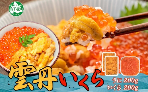 ウニ 100g×2個 いくら 200g 二色丼 うに イクラ 海鮮 北海道 弟子屈町