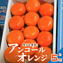 【ふるさと納税】【先行予約】 希少な果実！「アンコールオレンジ」 約5kg 18000円