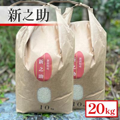 ふるさと納税 五泉市 【令和7年産米】新潟県産　新之助　20kg