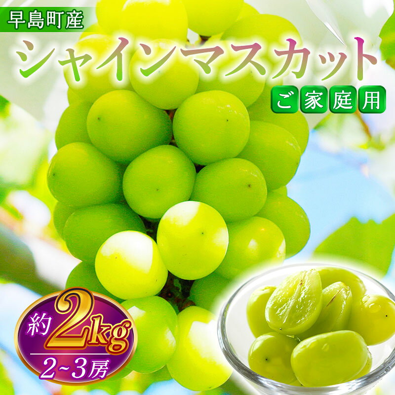 【ふるさと納税】【家庭用】シャインマスカット（2～3房・2kg程度）（林果樹園）