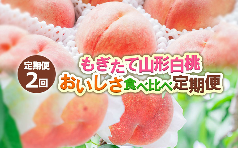 
                  【定期便2回】もぎたて山形白桃 おいしさ食べ比べ定期便 【令和8年産先行予約】FS24-724 くだもの 果物 フルーツ 山形 山形県 山形市 2026年産
                