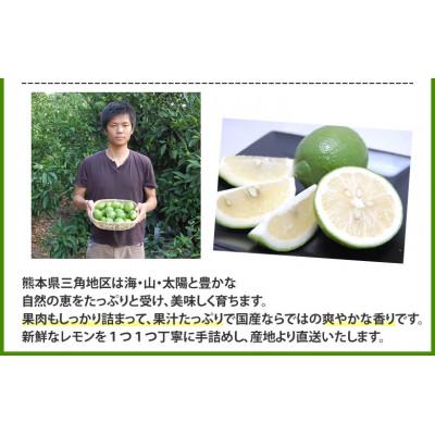 ふるさと納税 宇城市 レモン 4kg【2026年9月下旬から2026年12月下旬発送予定】(宇城市) |  | 02