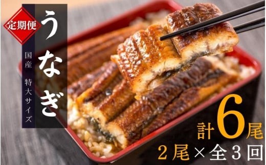 【3回定期便】【毎月お届け】大型サイズ ふっくら柔らか 国産うなぎ蒲焼き 2尾×3回 計6尾 約1020g / 定期便 うなぎ 鰻 国産 蒲焼 蒲焼き うな重 うな丼 ひつまぶし たれ 人気 贈答 贈り物 ギフト プレゼント お祝い 冷凍便 クール便 【tkb309】