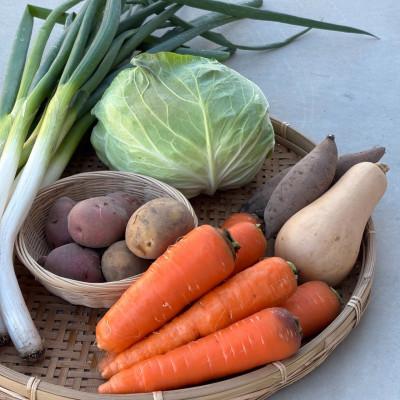 ふるさと納税 江南市 【Hello!農園直送】旬のおまかせ野菜セット(5〜7品)　栽培期間中農薬・化学肥料不使用 |  | 01