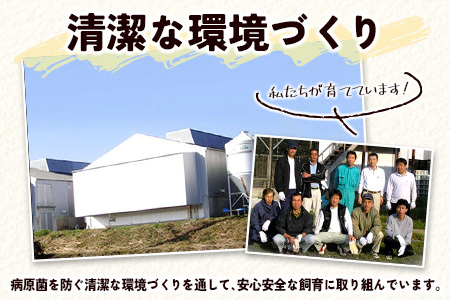 ＜児湯養鶏自慢の卵 ＞ネッカリッチ赤たまご「児湯一番」計60個（20個入×3箱）【B23】